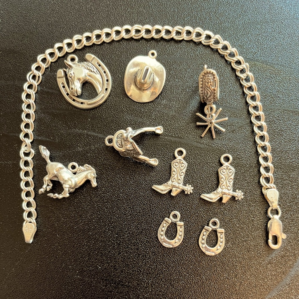 Sterling silver western charm bracelet